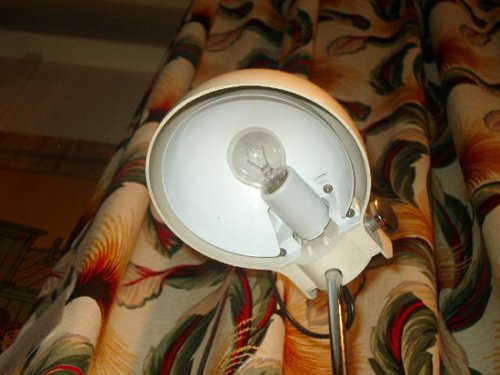 他の写真3: 50'sDESK LAMP